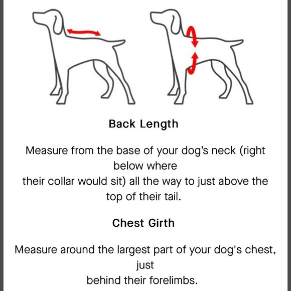 NWT Canada Pooch Torrential Tracker Raincoat for Dogs - Black - Picture 7 of 10